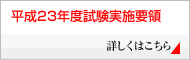 平成22年度実施要領