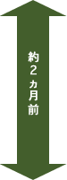 約2ヵ月前