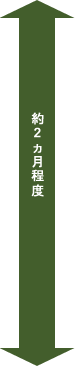 約2ヵ月程度